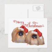 Pekingese Weihnachten (Vorne/Hinten)