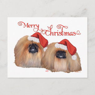 Pekingese Weihnachten