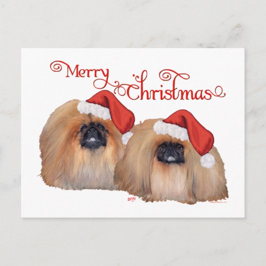 Pekingese Weihnachten (Vorderseite)