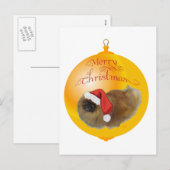 Pekingese Weihnachten (Vorne/Hinten)