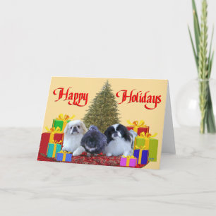 Pekingese Weihnachten