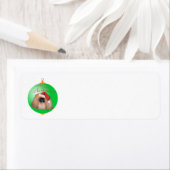 Pekingese Weihnachtsdekoration (Insitu)