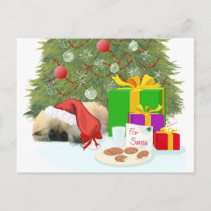 Pekingese Welpe 1. Weihnachten