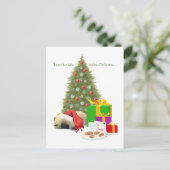 Pekingese Welpe 1. Weihnachten (Stehend Vorderseite)
