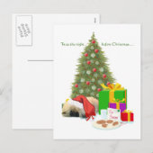 Pekingese Welpe 1. Weihnachten (Vorne/Hinten)