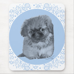 Pekingese Welpe Blau Mousepad