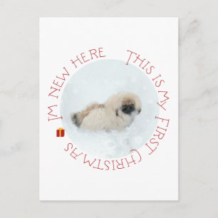 Pekingese-Welpe erstes Weihnachten