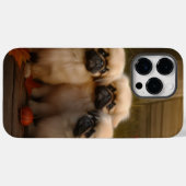 Pekingese Welpe Herbst Delight Pumpen Case-Mate iPhone Hülle (Rückseite (Horizontal))