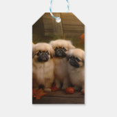 Pekingese Welpe Herbst Delight Pumpen Geschenkanhänger (Rückseite)