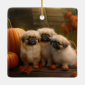 Pekingese Welpe Herbst Delight Pumpen Keramikornament (Rückseite)