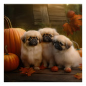 Pekingese Welpe Herbst Delight Pumpen Poster (Vorderseite)