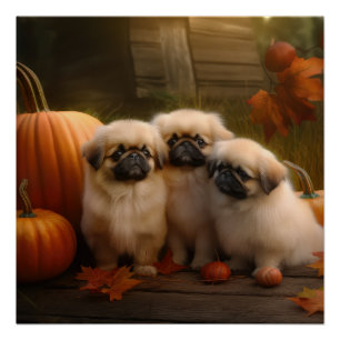 Pekingese Welpe Herbst Delight Pumpen Poster