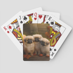 Pekingese Welpe Herbst Delight Pumpen Spielkarten