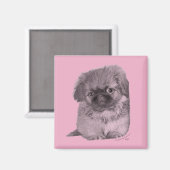 Pekingese Welpe in Pink Magnet (Vorderseite/Rückseite)
