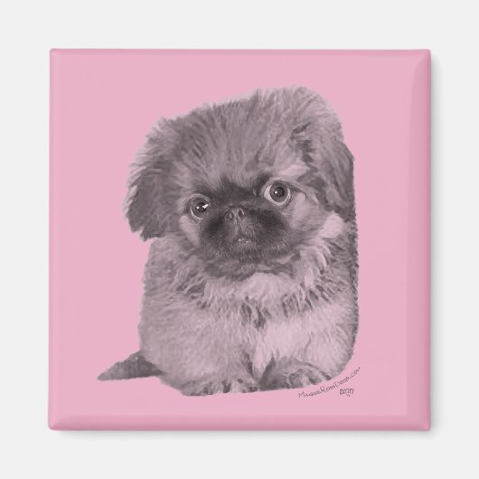 Pekingese Welpe in Pink Magnet (Vorne)