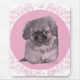Pekingese Welpe in Pink Mousepad