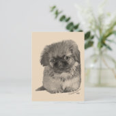 Pekingese-Welpe Postkarte (Stehend Vorderseite)