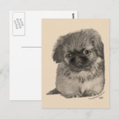 Pekingese-Welpe Postkarte (Vorne/Hinten)