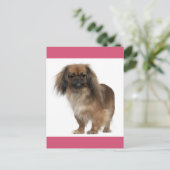 Pekingese Welpendokarte Postkarte (Stehend Vorderseite)