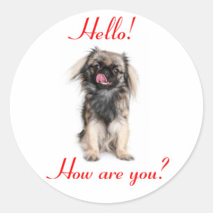 Pekingese Welpenhund Rot Hallo Runder Aufkleber