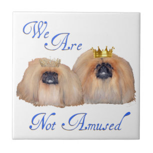 Pekingesen sind nicht amüsiert fliese