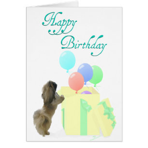 Pekingeser Festballons