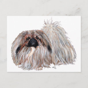 Pekingeser Hund stehend Postkarte