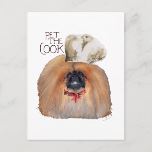 Pekingeser Koch - männlich Postkarte