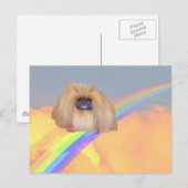 Pekingeser Regenbogen Postkarte (Vorne/Hinten)