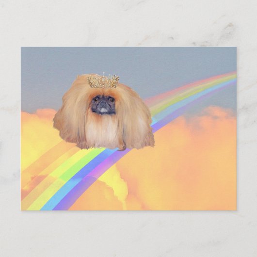 Pekingeser Regenbogen Postkarte (Vorderseite)