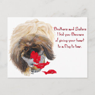 Pekingeser Valentinstag Feiertagspostkarte