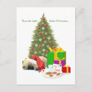 Pekingeser Welpe 1. Weihnachten