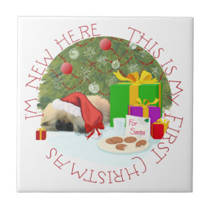 Pekingeser Welpe 1. Weihnachten Fliese