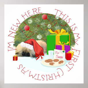 Pekingeser Welpe 1. Weihnachten Poster