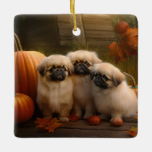 Pekingeser Welpe Autumn Delight Pumpkin Keramikornament