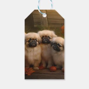 Pekingeser Welpe Herbstfreude Kürbis Geschenkanhänger