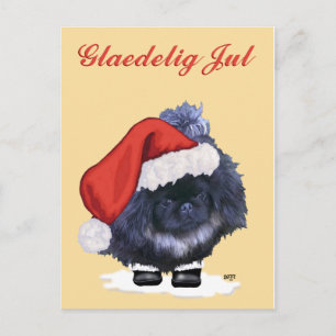 Pekingeser Welpe Weihnachten