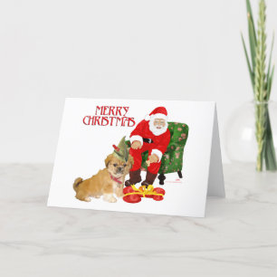 Pekingeser Welpe Weihnachten
