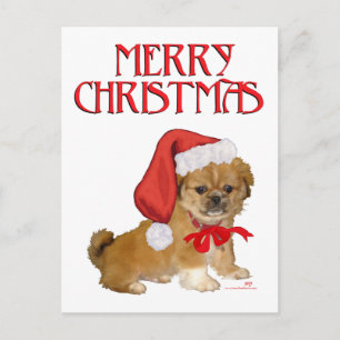 Pekingeser Welpe Weihnachten