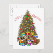 Pekingesgruppe Weihnachten (Vorne/Hinten)