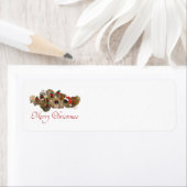 Pekingesgruppe Weihnachten (Insitu)