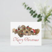 Pekingesgruppe Weihnachten (Stehend Vorderseite)