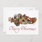 Pekingesgruppe Weihnachten (Vorne/Hinten)