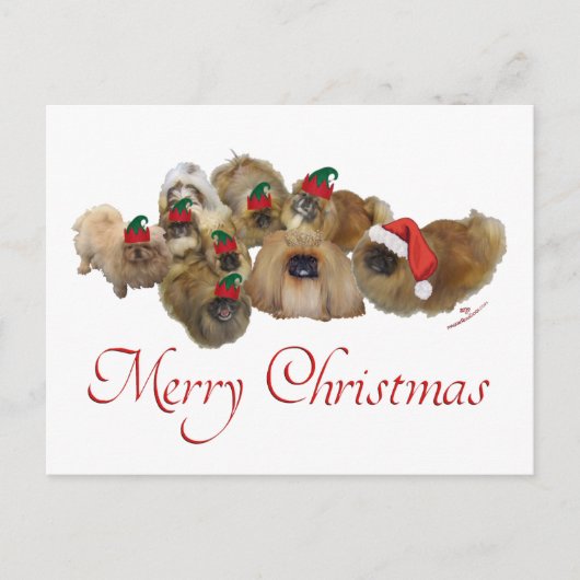 Pekingesgruppe Weihnachten (Vorderseite)