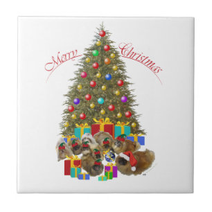Pekingesgruppe Weihnachten Fliese