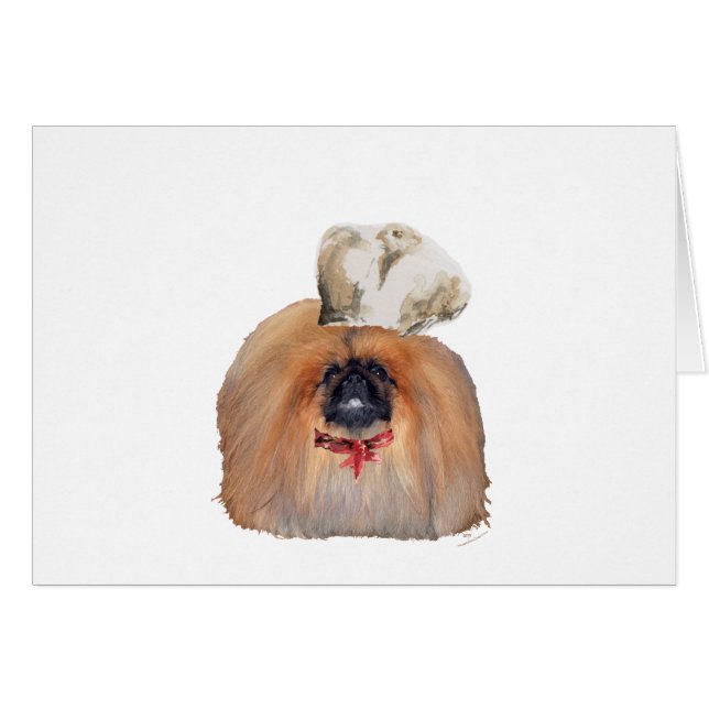 Pekingesischer Koch — männlich (Vorderseite (Horizontal))