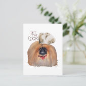 Pekingesischer Koch — männlich Postkarte (Stehend Vorderseite)