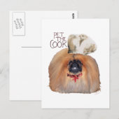 Pekingesischer Koch — männlich Postkarte (Vorne/Hinten)