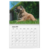 Pekingeskalender Kalender (Jan 2027)