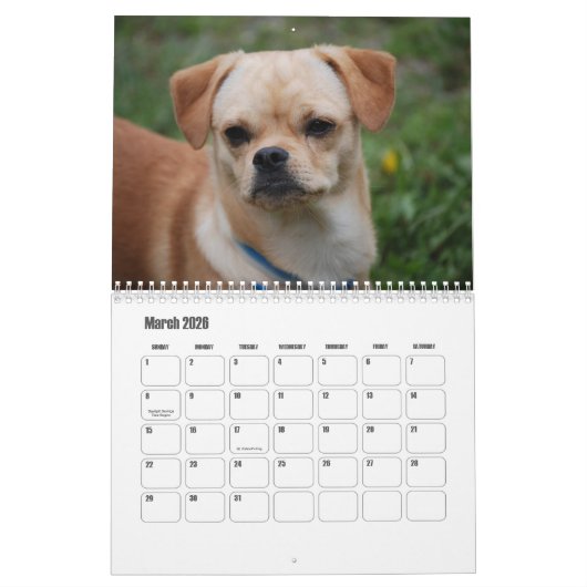 Pekingeskalender Kalender (Mär 2026)